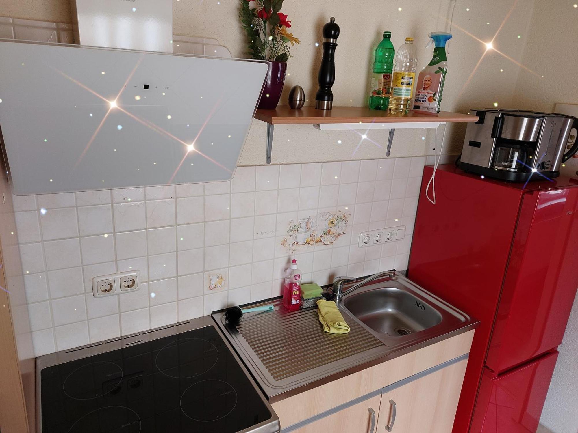 Landhauswohnung Am Thueringer Meer - Fuehlen Wie Zuhause Remptendorf Екстер'єр фото